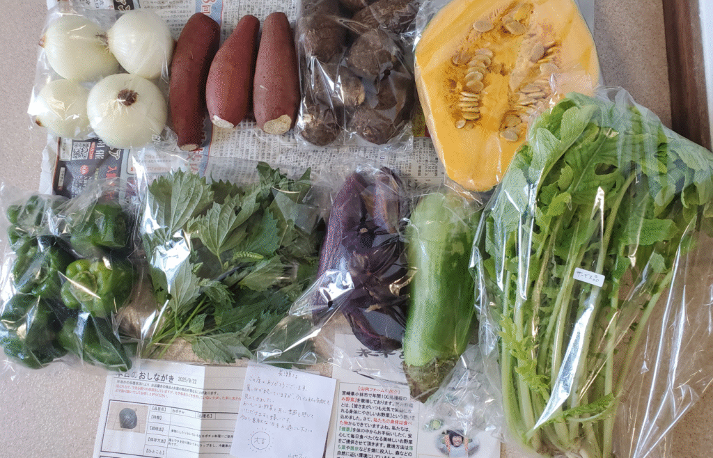 入っていた野菜